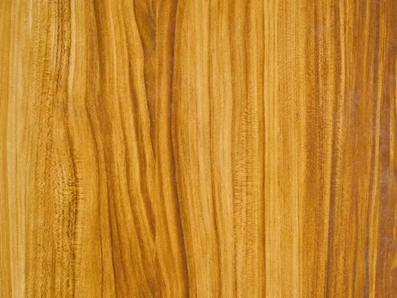 Material Teak Honey Oak