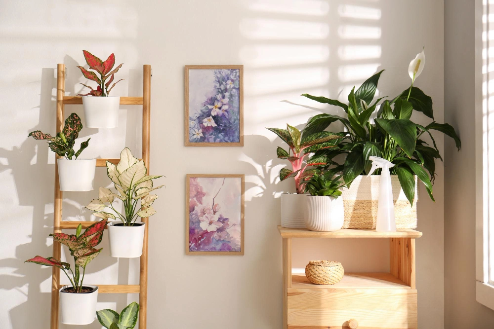 Inspirasi Dekorasi Rumah Minimalis
