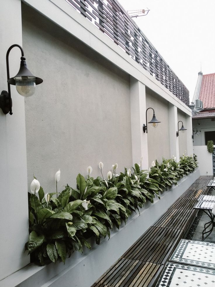 Pagar Pendek Minimalis dengan Tanaman Hias Pagar Pendek Minimalis dengan Tanaman Hias