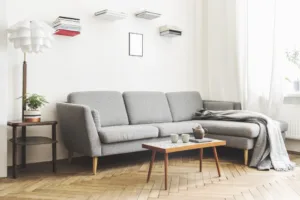 Cara Memilih Warna Sofa