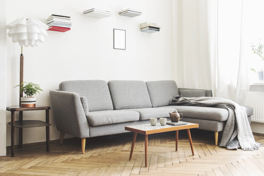 Cara Memilih Warna Sofa