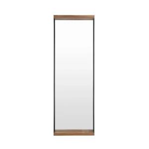 Darwin Mirror