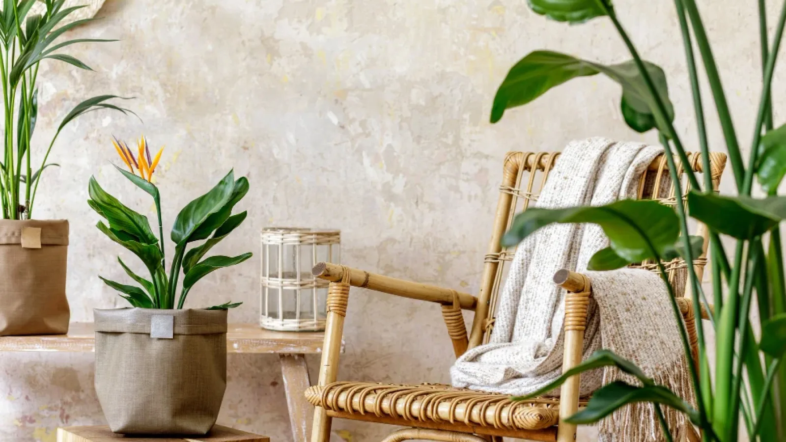Mengenal Desain Interior Tropical Yang Hangat